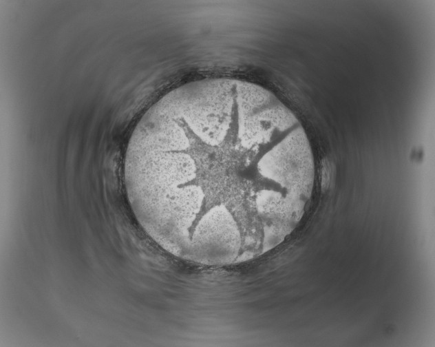 X0000111031059200907231615