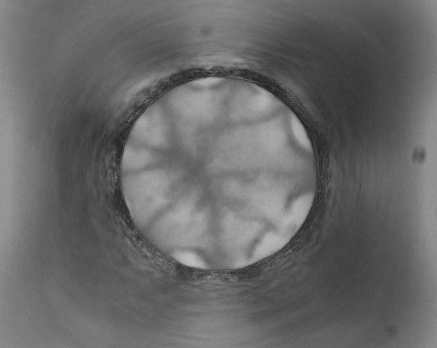 X0000111031063200907231615