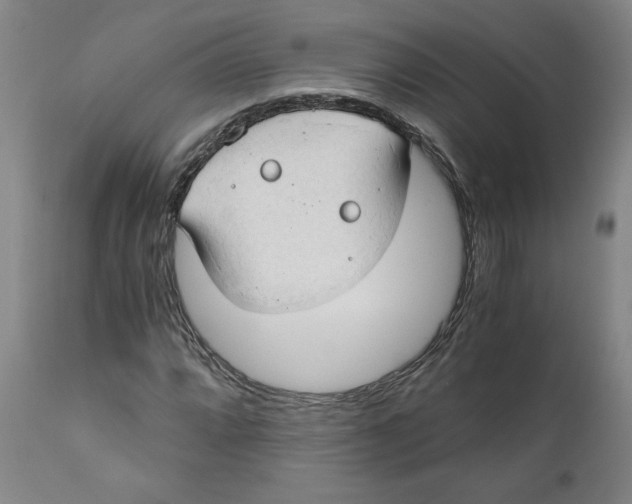 X0000111031064200907231615