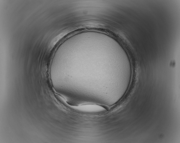 X0000111031065200907231615