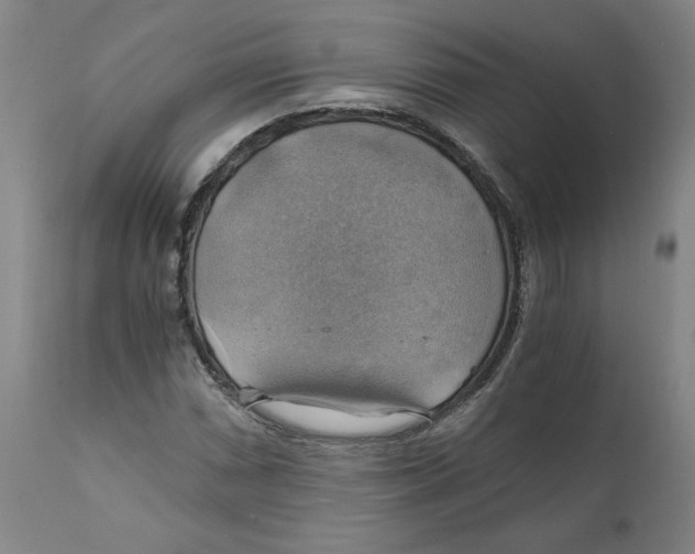 X0000111031066200907231615