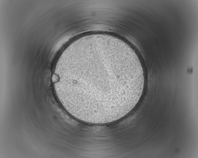 X0000111031067200907231615