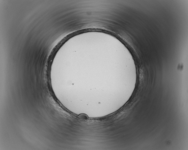 X0000111031068200907231615