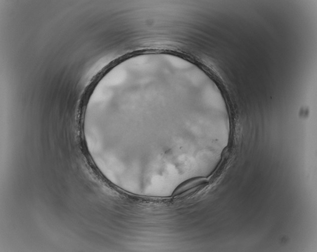 X0000111031071200907231615