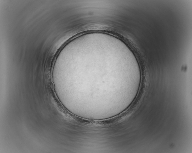 X0000111031073200907231615