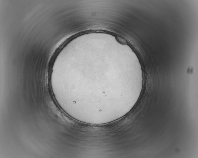 X0000111031076200907231615