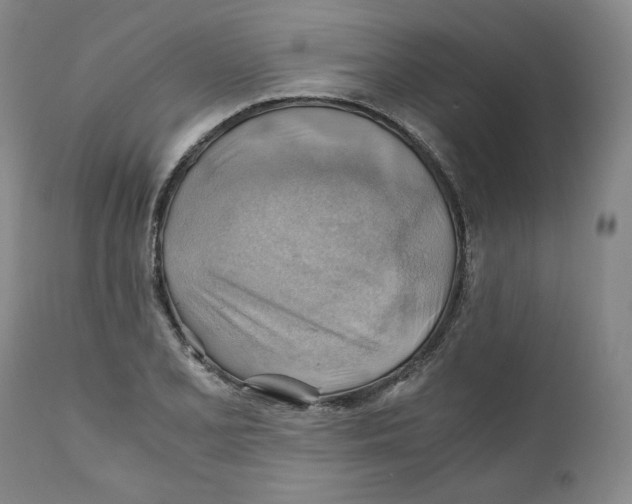 X0000111031077200907231615