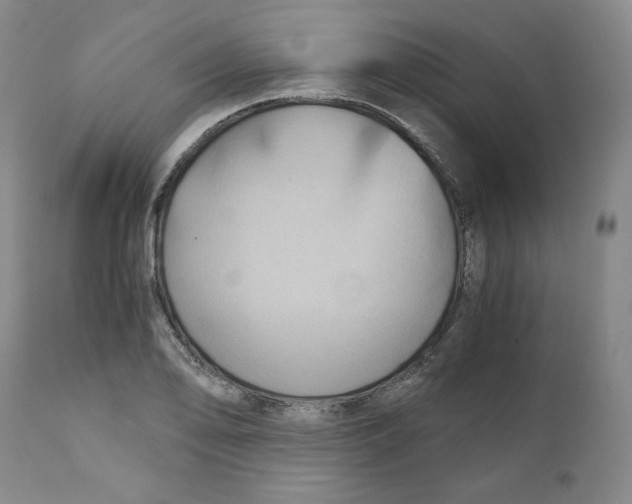 X0000111031078200907231615