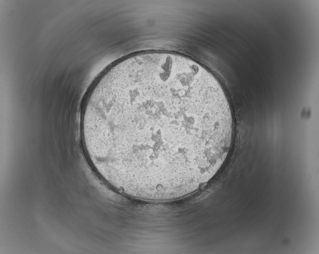 X0000111031079200907231615