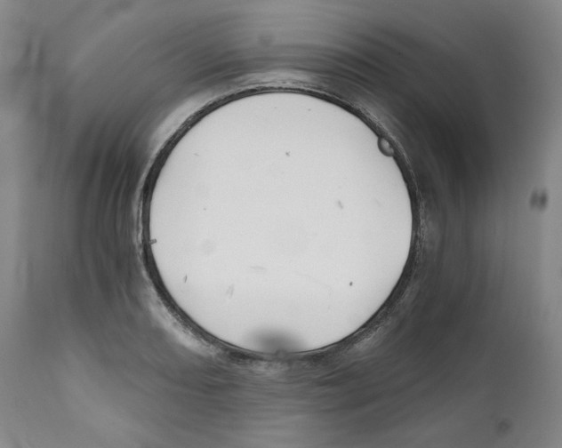 X0000111031082200907231615