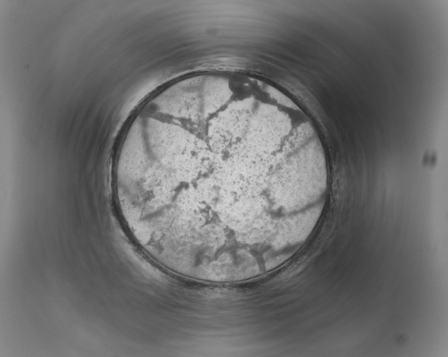 X0000111031083200907231615