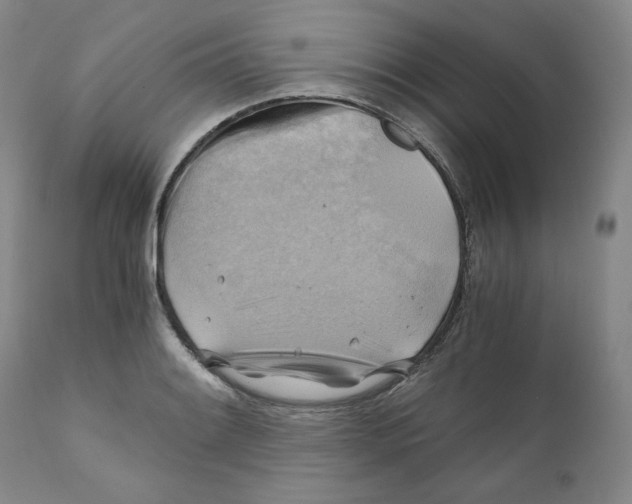 X0000111031084200907231615