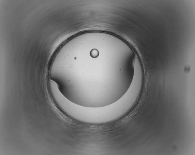 X0000111031085200907231615