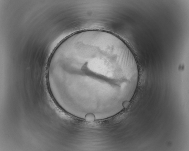 X0000111031086200907231615