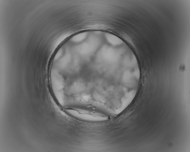 X0000111031087200907231615