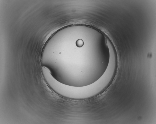 X0000111031089200907231615