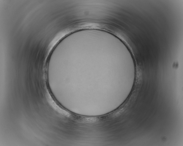 X0000111031090200907231615