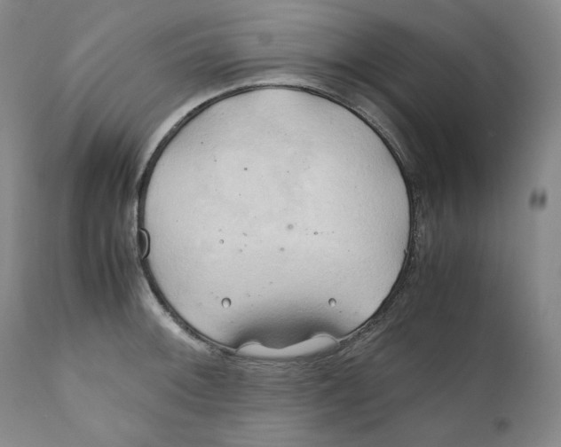 X0000111031092200907231615