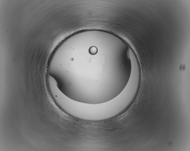 X0000111031093200907231615