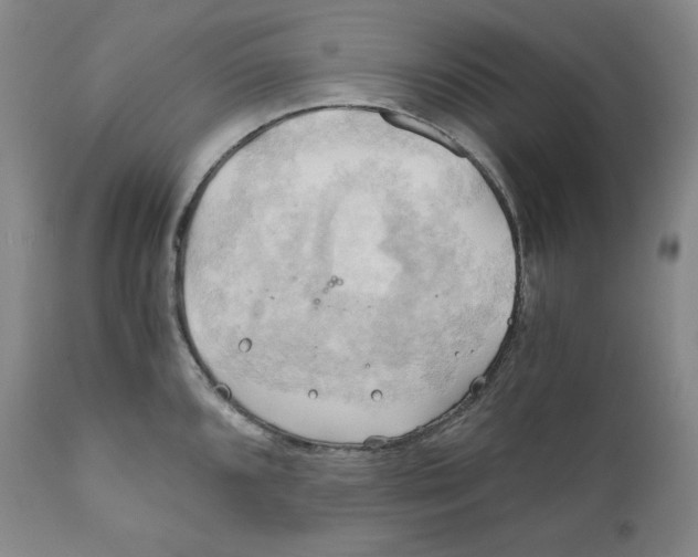 X0000111031096200907231615