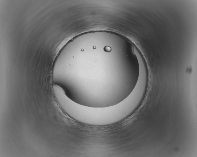 X0000111031097200907231615