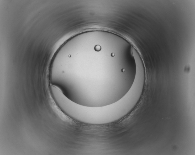 X0000111031098200907231615