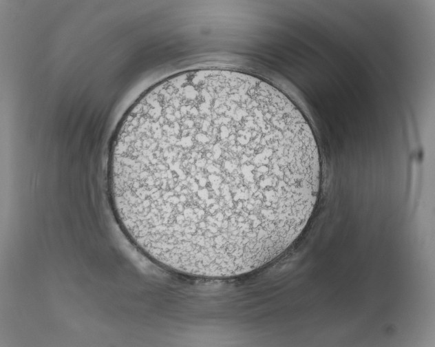 X0000111031099200907231614