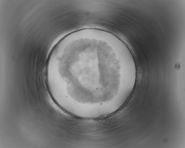 X0000111031100200907231614