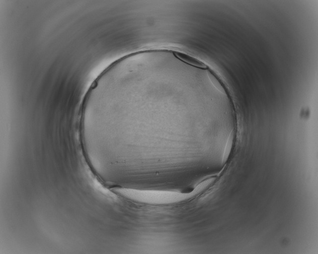 X0000111031102200907231614