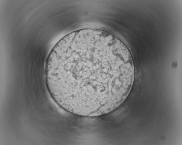 X0000111031103200907231614