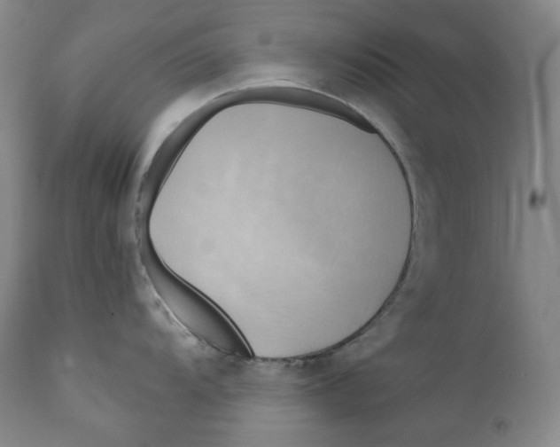 X0000111031104200907231614