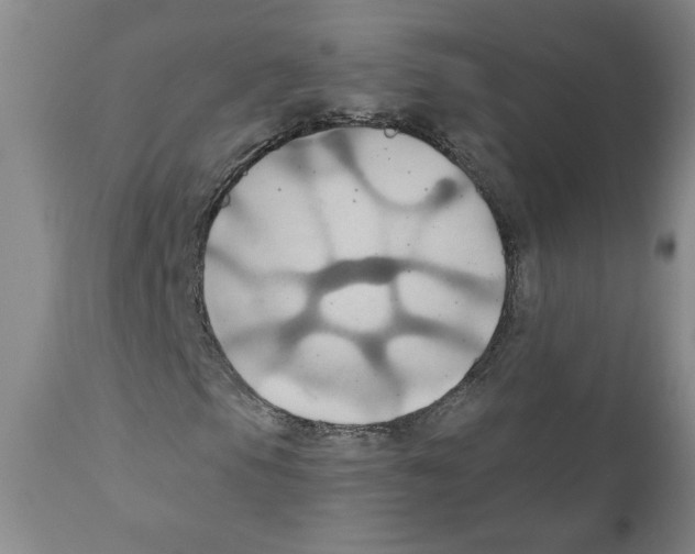 X0000111031105200907231614