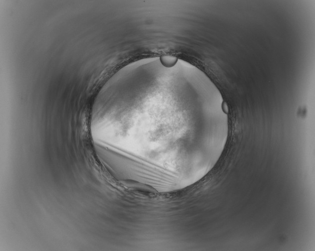 X0000111031106200907231614