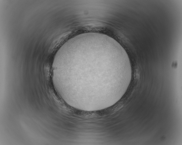 X0000111031108200907231614