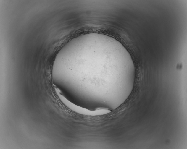 X0000111031109200907231614