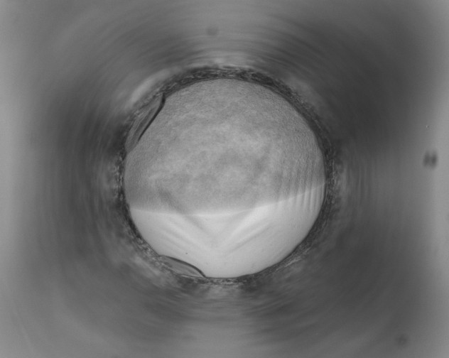 X0000111031110200907231614