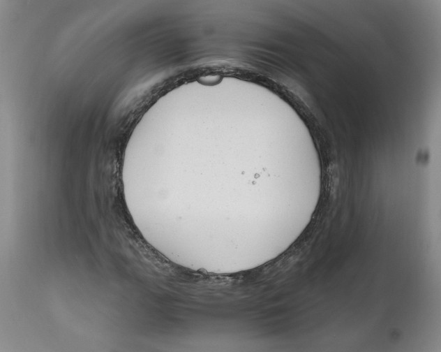 X0000111031111200907231614