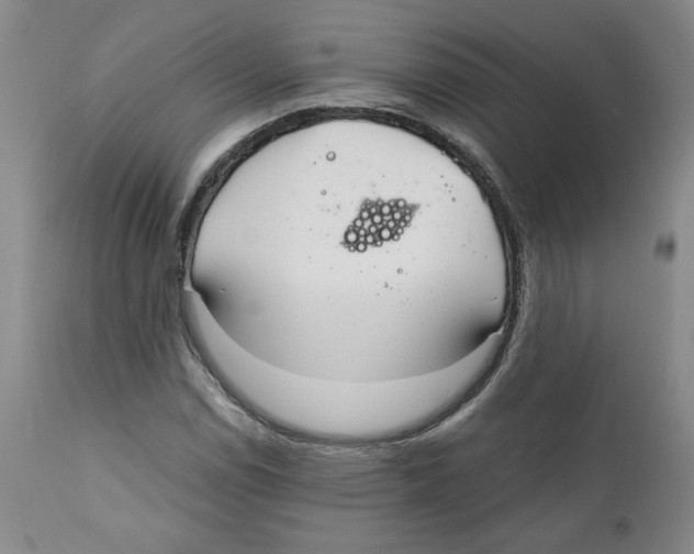 X0000111031114200907231614