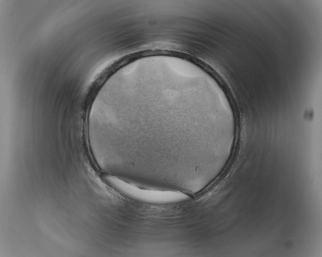 X0000111031115200907231614