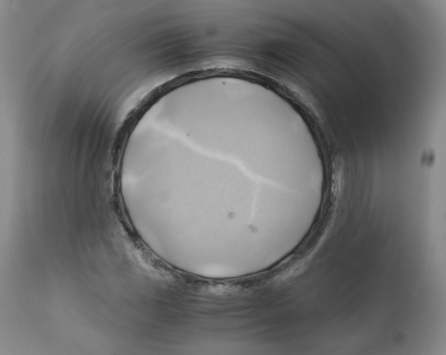 X0000111031117200907231614