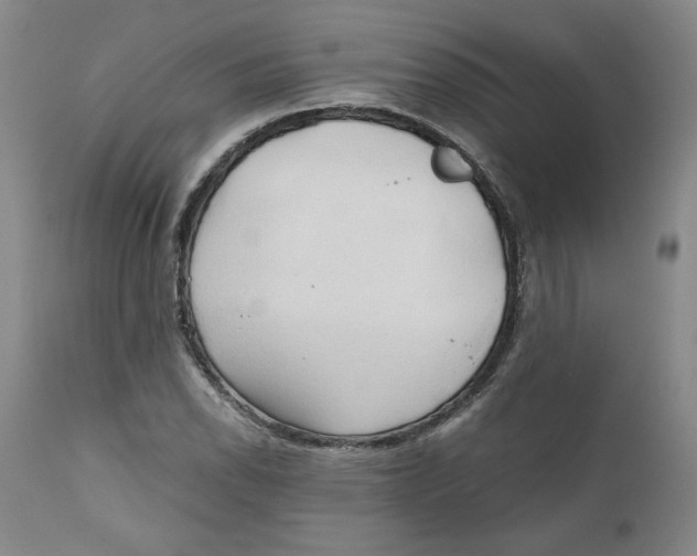 X0000111031118200907231614