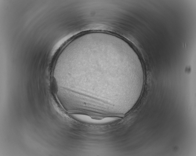 X0000111031120200907231614