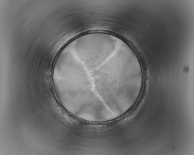 X0000111031121200907231614