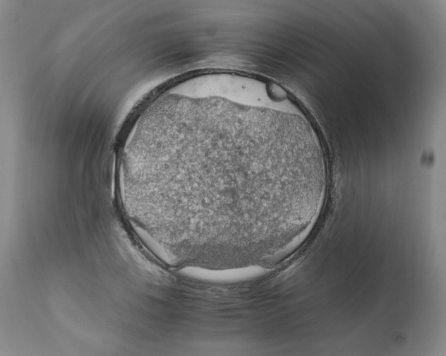 X0000111031123200907231614