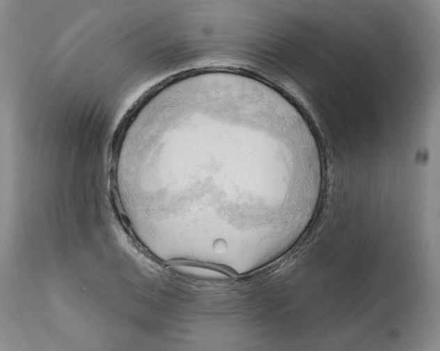 X0000111031124200907231614