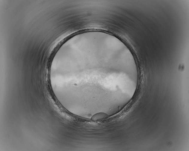 X0000111031125200907231614