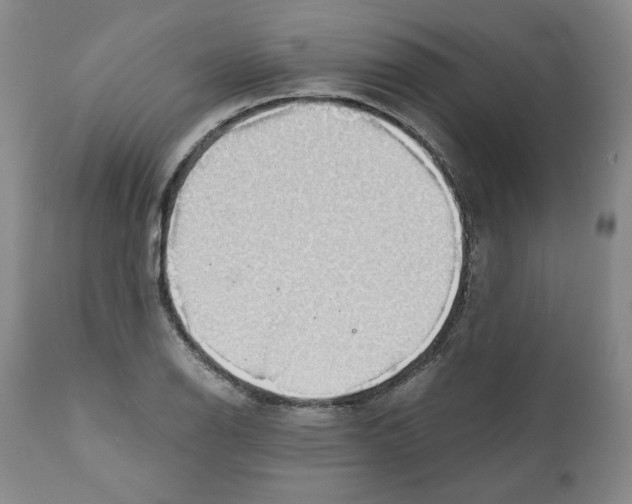 X0000111031126200907231614