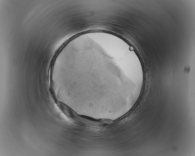 X0000111031127200907231614