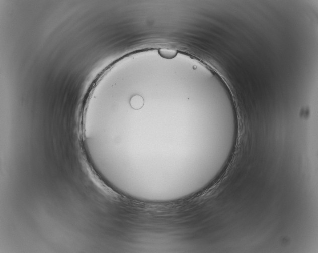 X0000111031128200907231614