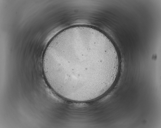 X0000111031129200907231614